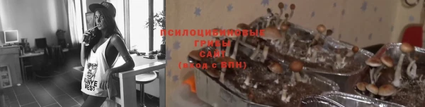 эйфоретик Пролетарск
