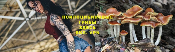 винт Приозерск